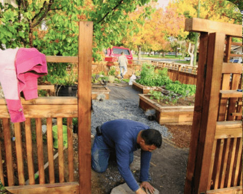 Japanese style front yard landscape garden installation with vegetable beds, fruit trees in San Jose, California.