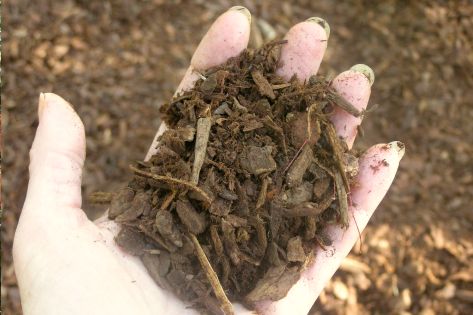 Mulch and compost help gardens retain water longer and is a slow-release natural fertilizer.