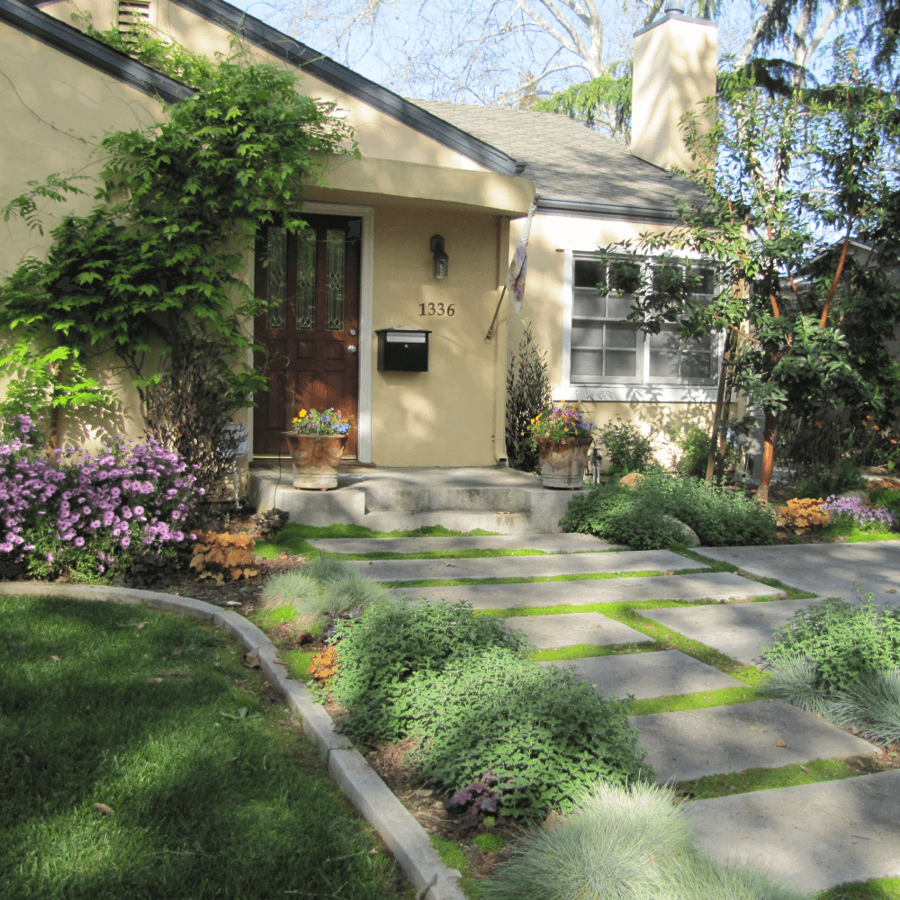Cottage garden design with low growing wisteria and other drought trolerant plants in a sustainable landscape design
