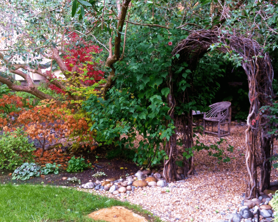 A custom designed willow arch with a pebbled ground cover, Japanese Maples and Indian mallow in Palo Alto.